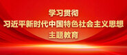 黑丝美女必操学习贯彻习近平新时代中国特色社会主义思想主题教育_fororder_ad-371X160(2)